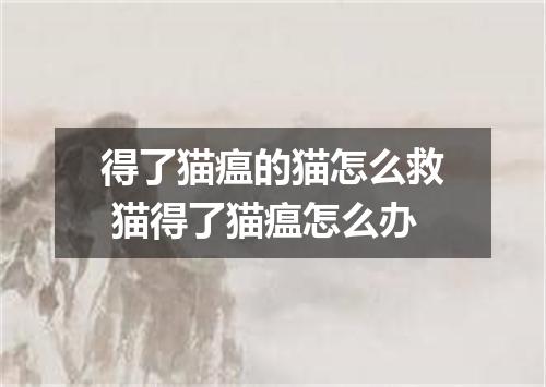得了猫瘟的猫怎么救 猫得了猫瘟怎么办
