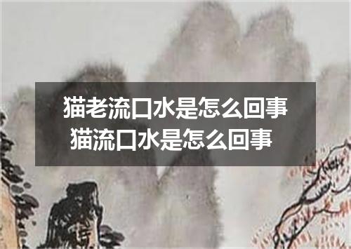 猫老流口水是怎么回事 猫流口水是怎么回事