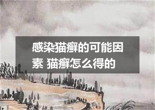 感染猫癣的可能因素 猫癣怎么得的