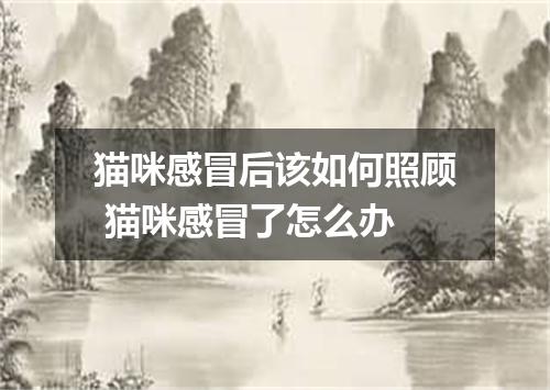 猫咪感冒后该如何照顾 猫咪感冒了怎么办