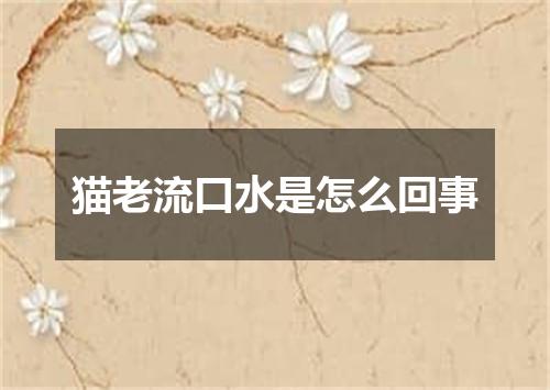 猫老流口水是怎么回事