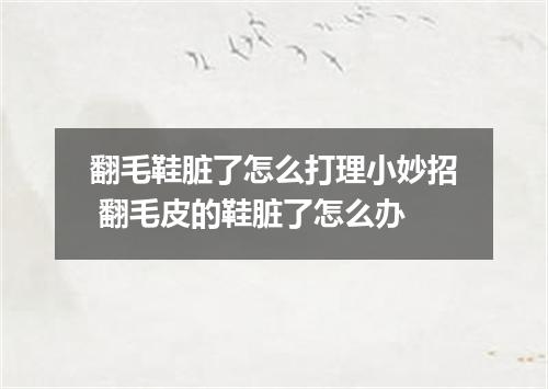 翻毛鞋脏了怎么打理小妙招 翻毛皮的鞋脏了怎么办