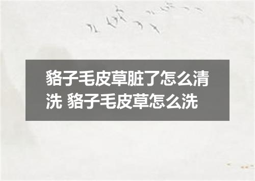 貉子毛皮草脏了怎么清洗 貉子毛皮草怎么洗