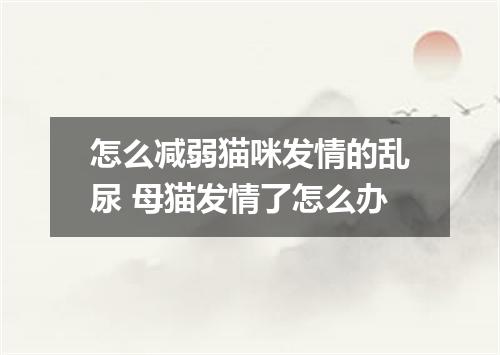 怎么减弱猫咪发情的乱尿 母猫发情了怎么办