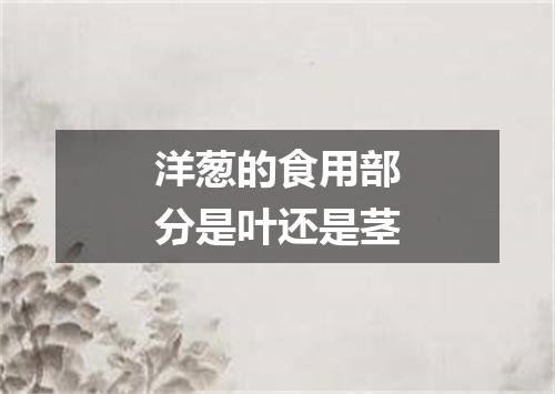 洋葱的食用部分是叶还是茎