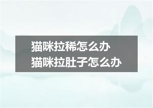 猫咪拉稀怎么办 猫咪拉肚子怎么办