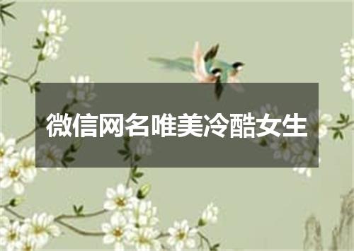 微信网名唯美冷酷女生