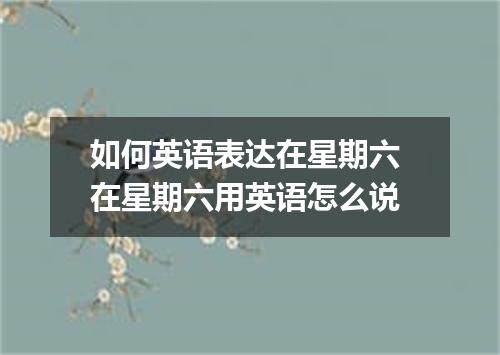 如何英语表达在星期六 在星期六用英语怎么说