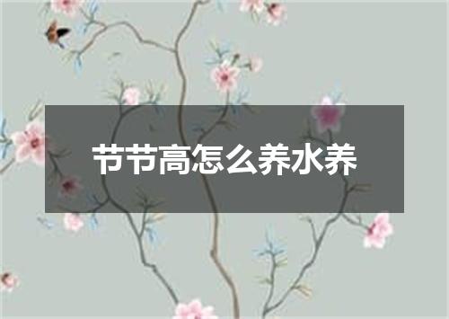 节节高怎么养水养