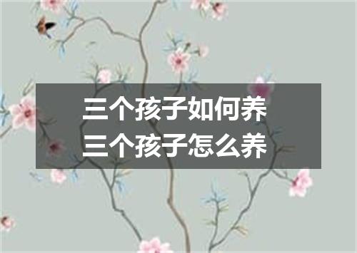 三个孩子如何养 三个孩子怎么养