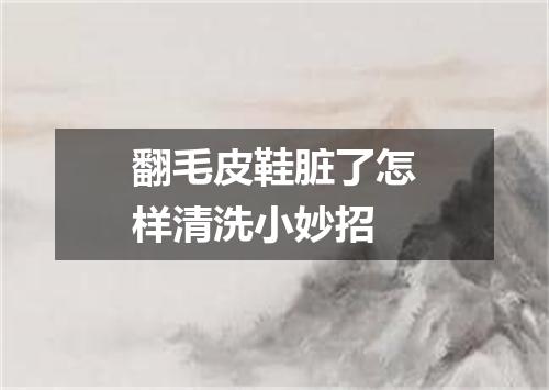 翻毛皮鞋脏了怎样清洗小妙招