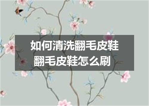 如何清洗翻毛皮鞋 翻毛皮鞋怎么刷