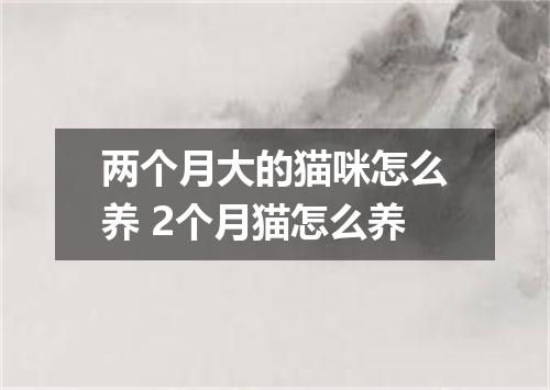 两个月大的猫咪怎么养 2个月猫怎么养