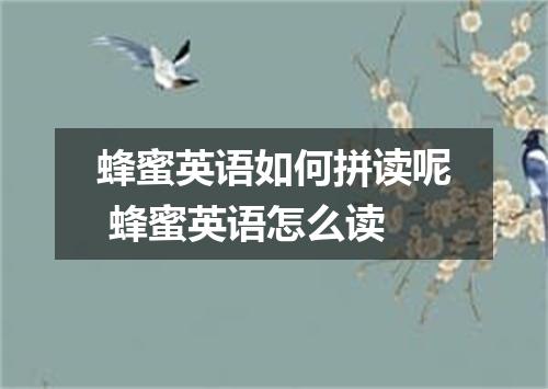 蜂蜜英语如何拼读呢 蜂蜜英语怎么读