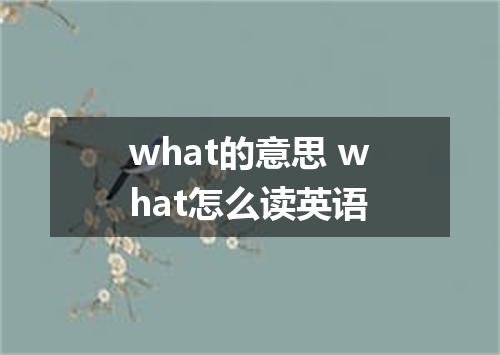what的意思 what怎么读英语