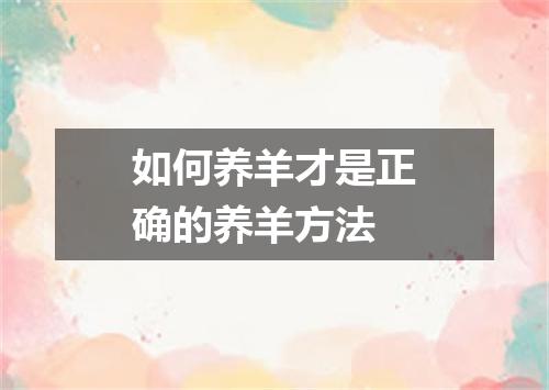 如何养羊才是正确的养羊方法