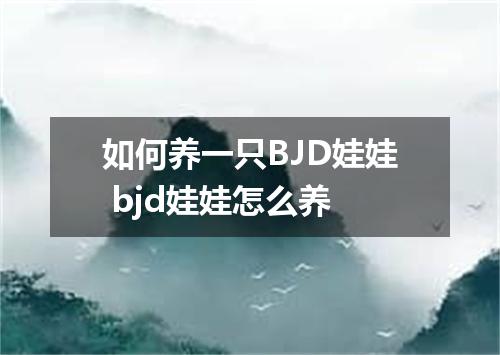 如何养一只BJD娃娃 bjd娃娃怎么养