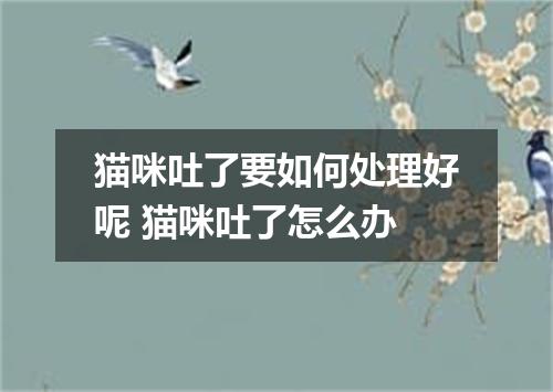 猫咪吐了要如何处理好呢 猫咪吐了怎么办