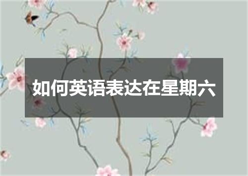 如何英语表达在星期六