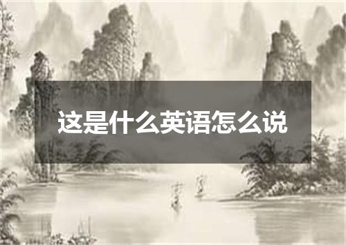 这是什么英语怎么说