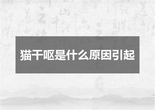 猫干呕是什么原因引起