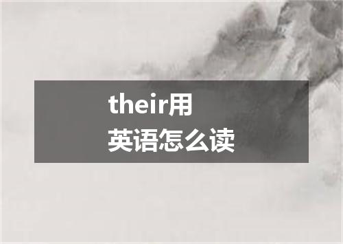 their用英语怎么读