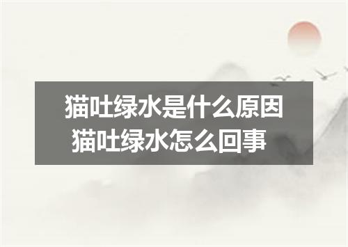 猫吐绿水是什么原因 猫吐绿水怎么回事