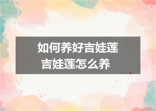 如何养好吉娃莲 吉娃莲怎么养