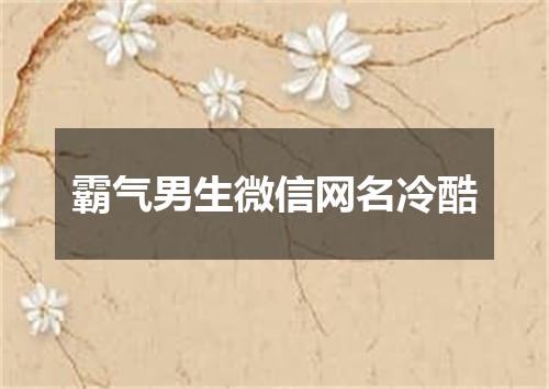 霸气男生微信网名冷酷