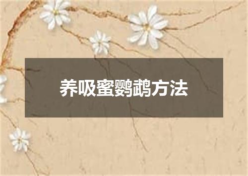 养吸蜜鹦鹉方法