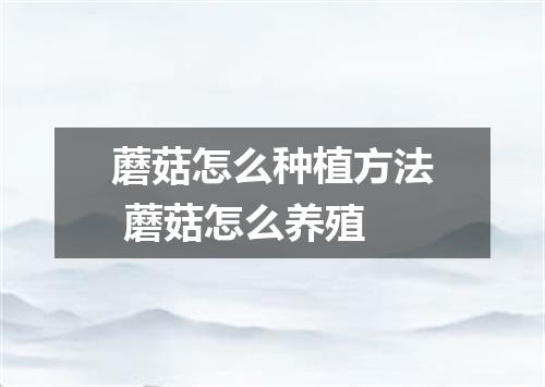 蘑菇怎么种植方法 蘑菇怎么养殖