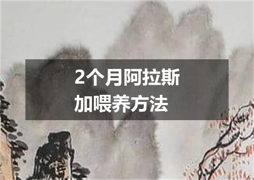 2个月阿拉斯加喂养方法