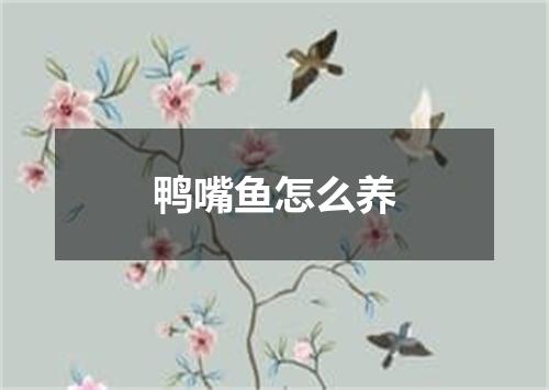 鸭嘴鱼怎么养