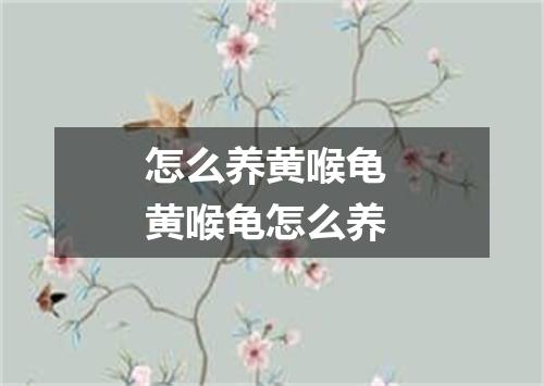 怎么养黄喉龟 黄喉龟怎么养