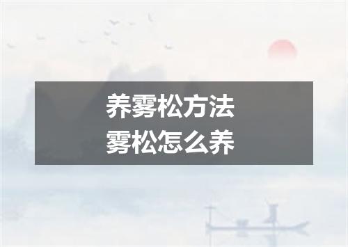 养雾松方法 雾松怎么养