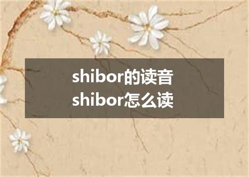 shibor的读音 shibor怎么读