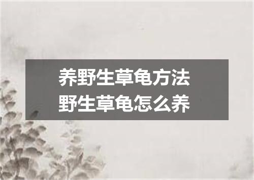 养野生草龟方法 野生草龟怎么养