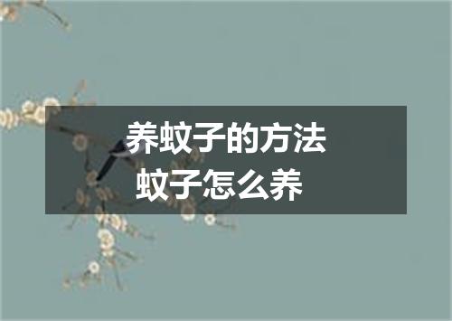 养蚊子的方法 蚊子怎么养