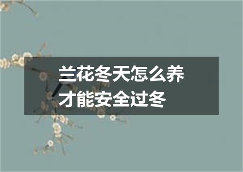 兰花冬天怎么养才能安全过冬