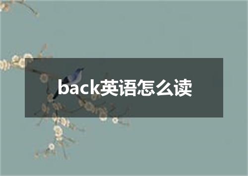 back英语怎么读