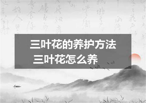三叶花的养护方法 三叶花怎么养