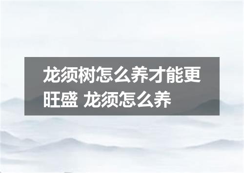 龙须树怎么养才能更旺盛 龙须怎么养
