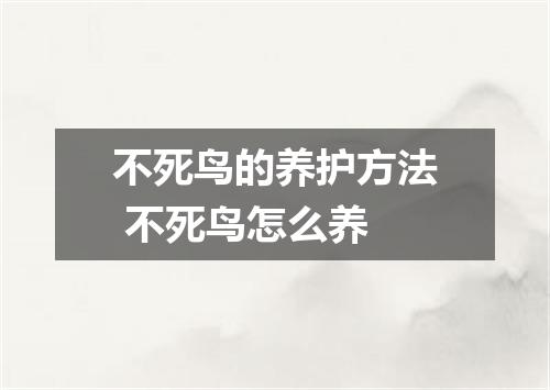 不死鸟的养护方法 不死鸟怎么养