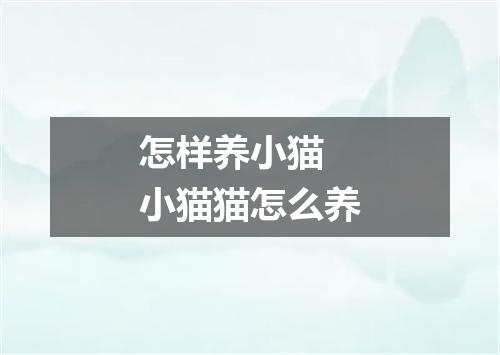 怎样养小猫 小猫猫怎么养