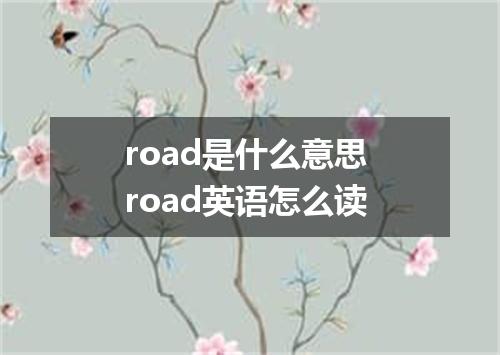 road是什么意思 road英语怎么读