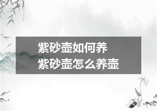 紫砂壶如何养 紫砂壶怎么养壶