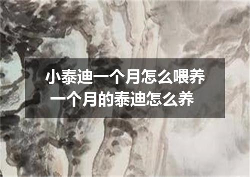 小泰迪一个月怎么喂养 一个月的泰迪怎么养