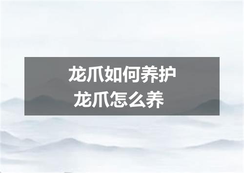 龙爪如何养护 龙爪怎么养