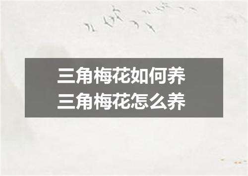 三角梅花如何养 三角梅花怎么养