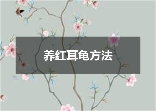 养红耳龟方法